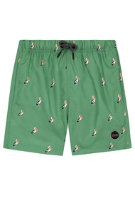 SHIWI PELICAN SWIM SHORT