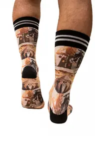 SOCK MY ROUTE 66