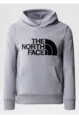 THE NORTH FACE B DREW PEAK P/O HOODIE