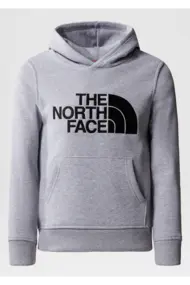 THE NORTH FACE B DREW PEAK P/O HOODIE