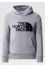 THE NORTH FACE B DREW PEAK P/O HOODIE