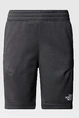 THE NORTH FACE B MA SHORTS