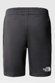 THE NORTH FACE B MA SHORTS