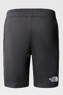 THE NORTH FACE B MA SHORTS
