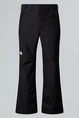 THE NORTH FACE M DESCENDIT PANT
