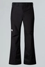 THE NORTH FACE M DESCENDIT PANT