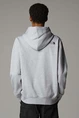 THE NORTH FACE M DREW PEAK PULLOVER HOODIE