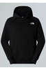THE NORTH FACE M RAGLAN BOX NSE HOODIE