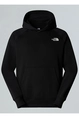 THE NORTH FACE M RAGLAN BOX NSE HOODIE