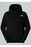 THE NORTH FACE M RAGLAN BOX NSE HOODIE