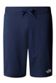 THE NORTH FACE M STAND SHORT LIGHT