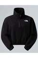 THE NORTH FACE W 100 GLACIER HALF ZIP