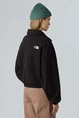 THE NORTH FACE W 100 GLACIER HALF ZIP