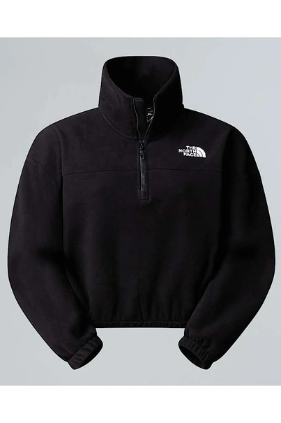 THE NORTH FACE W 100 GLACIER HALF ZIP