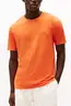 TOMMY HILFIGER ESS SEASONAL REG FIT SOLID TEE