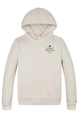TOMMY HILFIGER LOGO PUFF PRINT REGULAR HOODIE