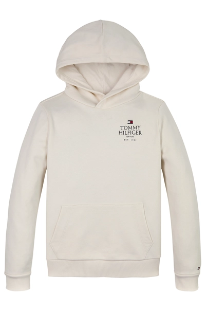 TOMMY HILFIGER LOGO PUFF PRINT REGULAR HOODIE