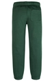 TOMMY HILFIGER LOGO PUFF PRINT SWEATPANTS
