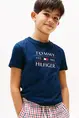 TOMMY HILFIGER TOMMY FLAG HILFIGER