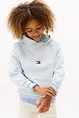 TOMMY HILFIGER VARSITY HOOD