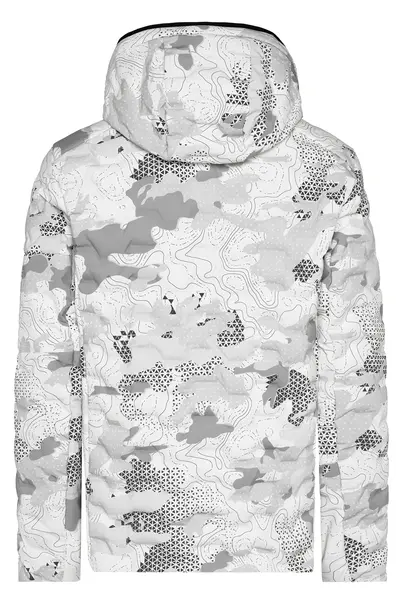 TONI SAILER ARVED PRINT