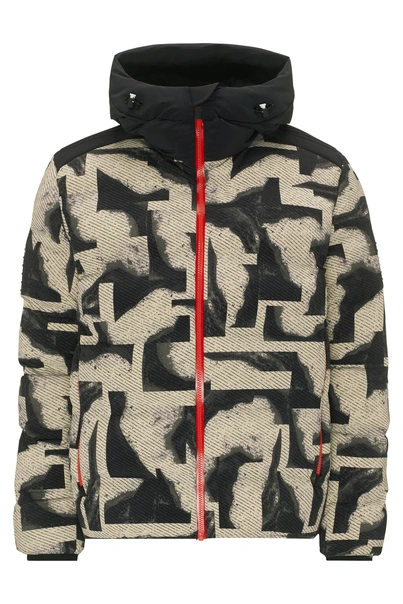 TONI SAILER FINN PRINT