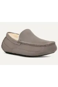 UGG M ASCOTT