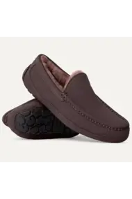 UGG M ASCOTT