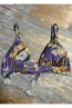 WATERCULT BIKINI TOP